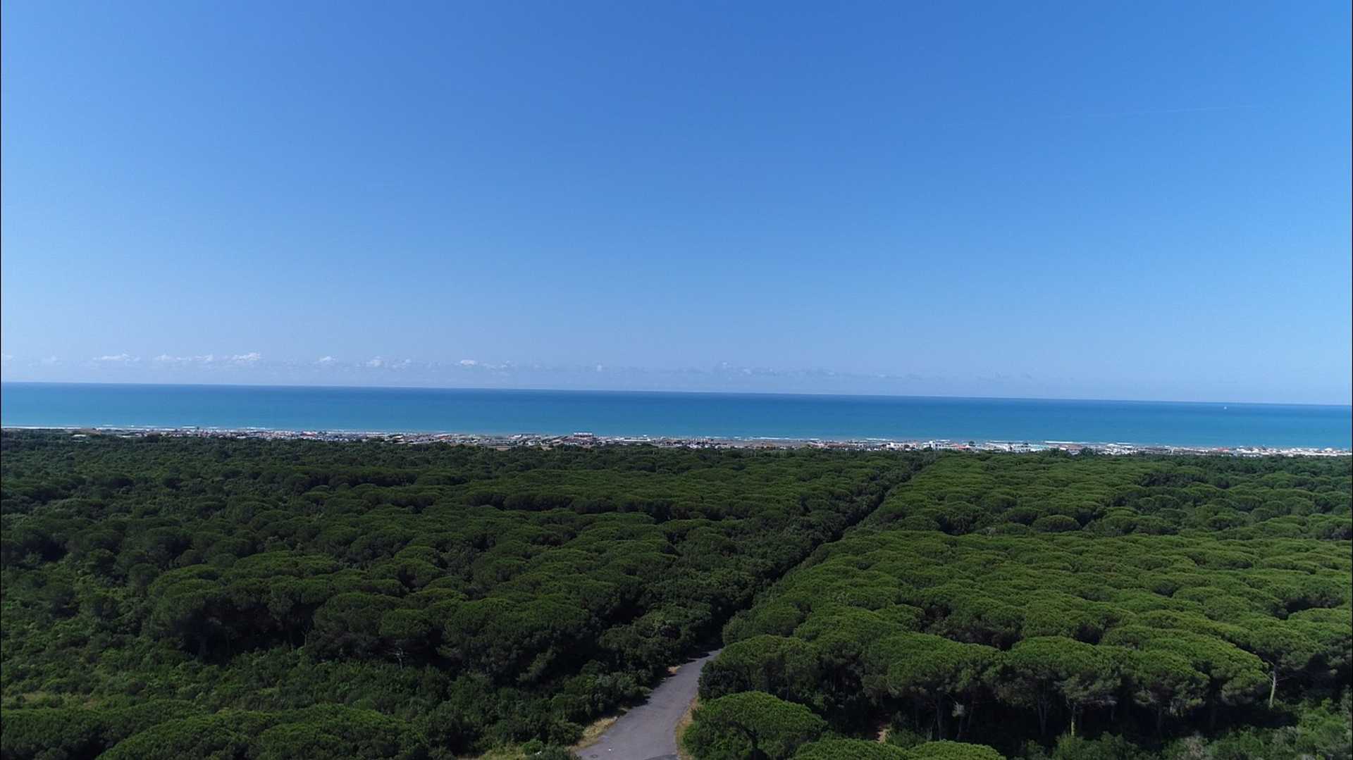 La Pineta di Castelfusano in volo....